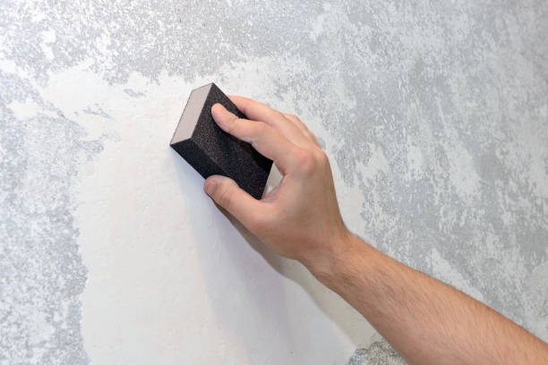 Forensic Mold Investigation in Mount Sterling, IL