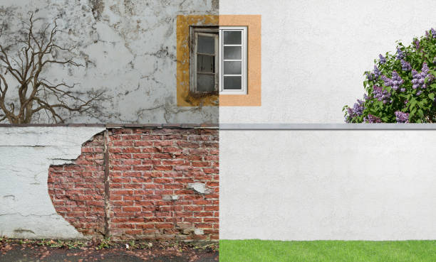 Best Mold Prevention Services  in Mount Sterling, IL