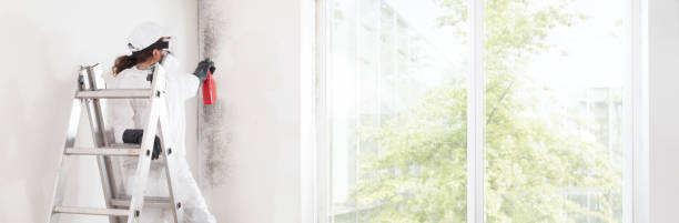 Best Indoor Air Quality Assessment  in Mount Sterling, IL