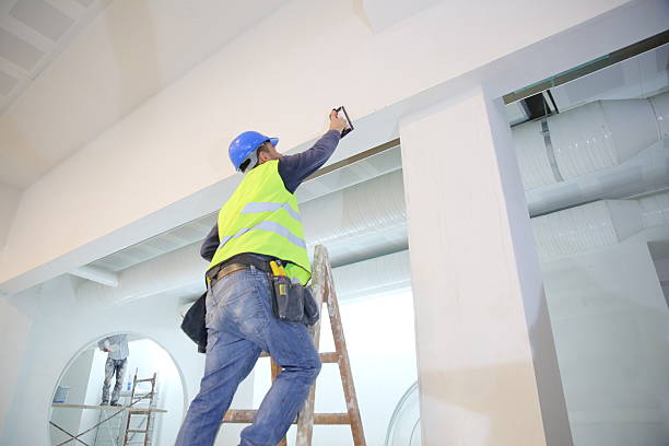Best Basement Mold Removal  in Mount Sterling, IL