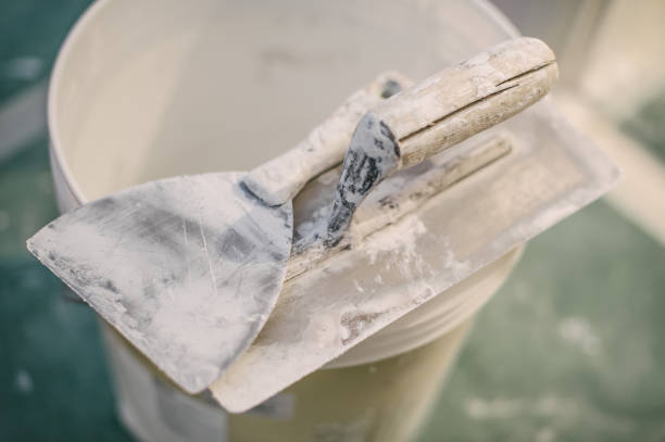 Trusted Mount Sterling, IL Mold Removal Experts