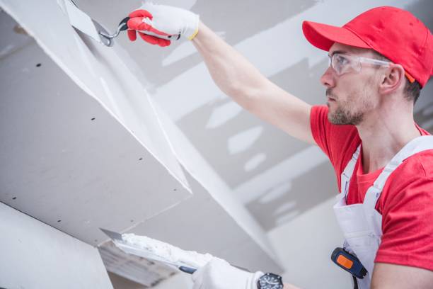 Best Real Estate Mold Inspection  in Mount Sterling, IL